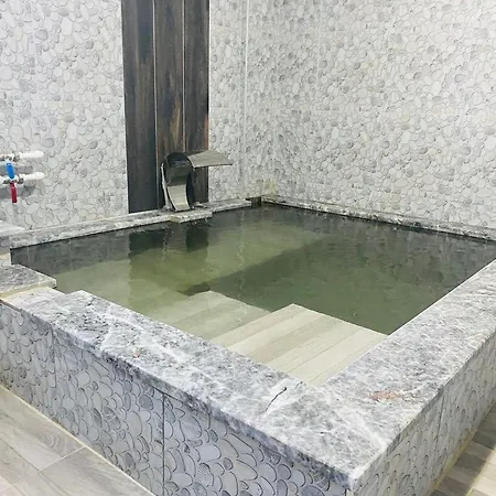 Dogal Termal מלון