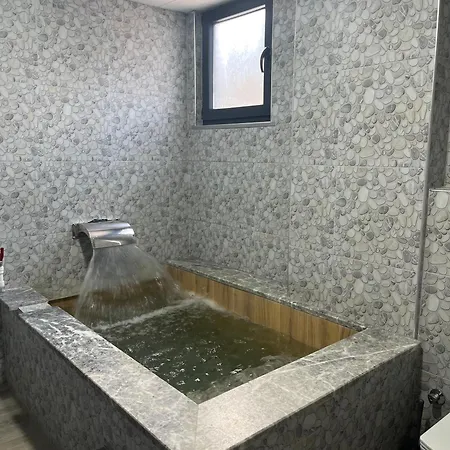 호텔 Dogal Termal Gediz