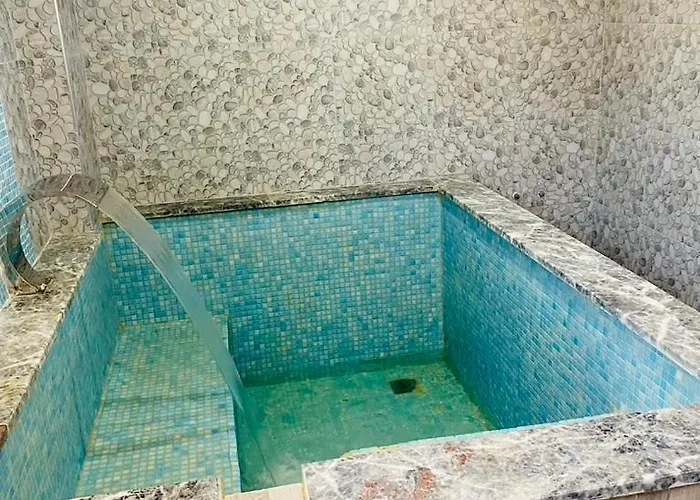 Dogal Termal * Gediz