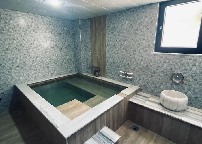 Dogal Termal Hotel Gediz