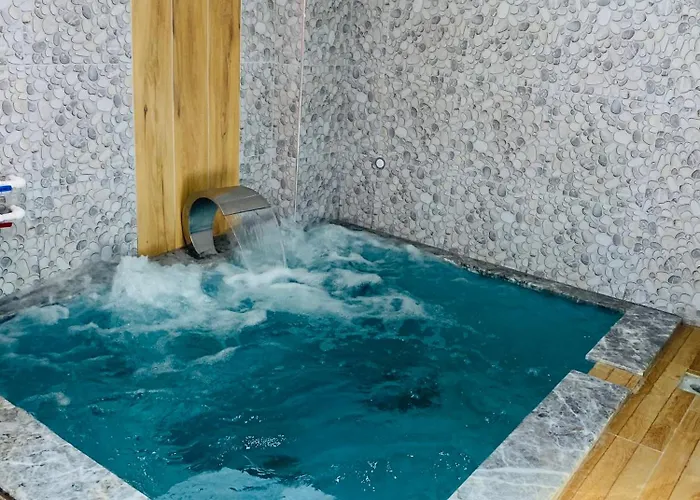 Hotel Dogal Termal *